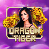 Dragon Tiger on ppsspp games